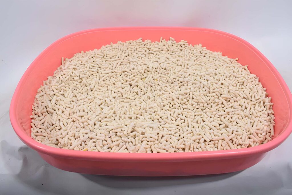 Cat Litter Selection