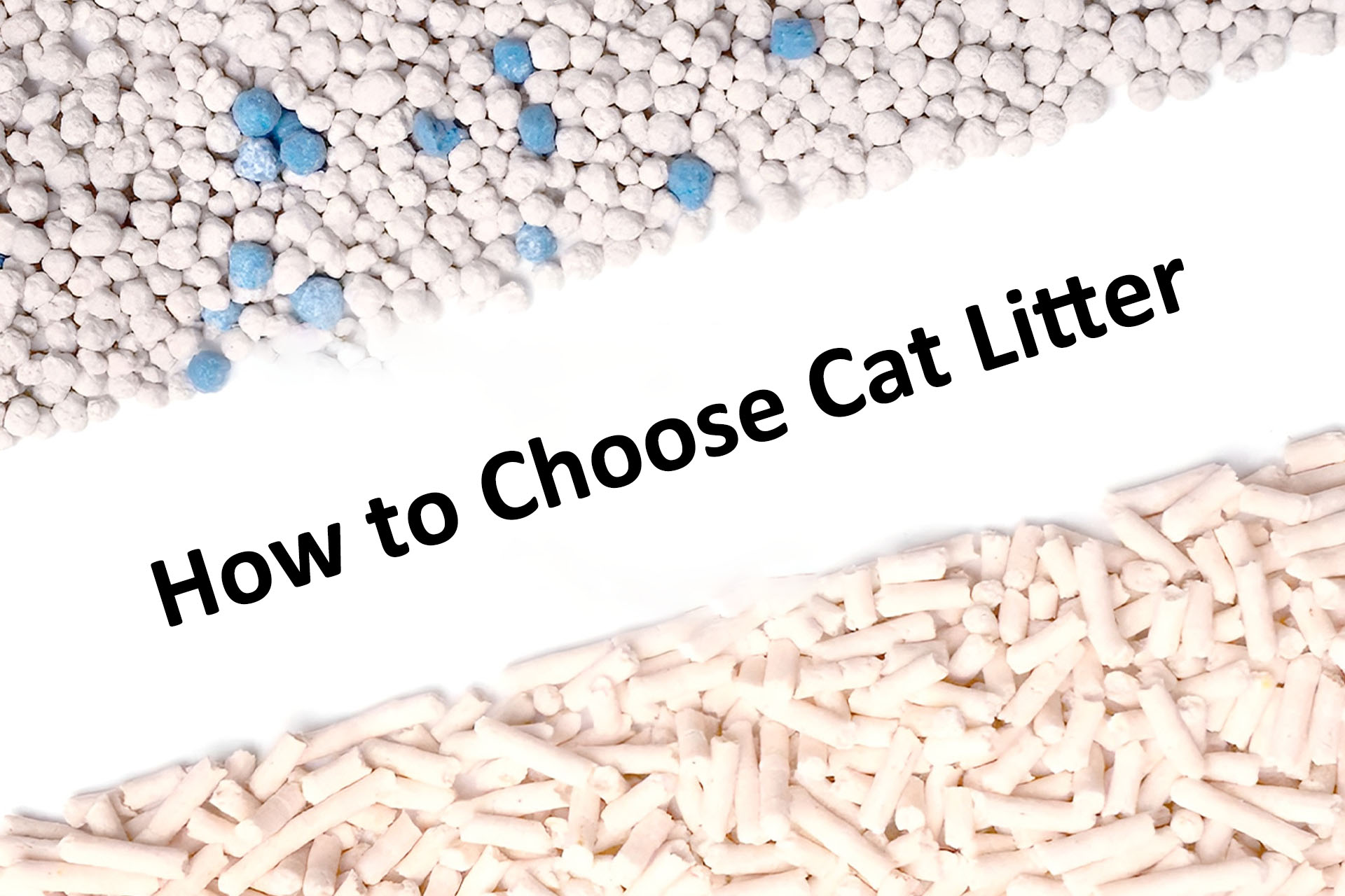 How to Choose Cat Litter