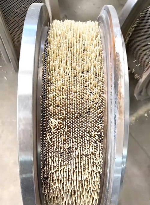 Twin-screw extruder producing tofu cat litter pellets on a cat litter production line