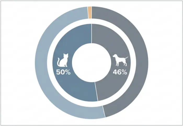 Pie comparison of European pet food share by value with cats at 50 percent