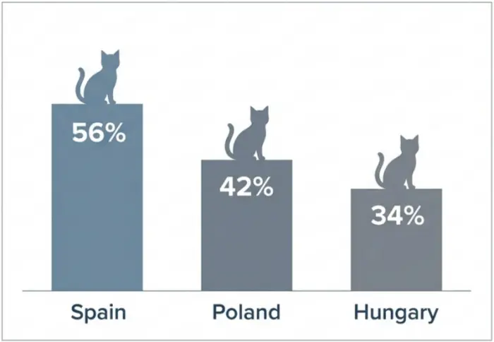 Bar chart of household cat-ownership rates in Spain Poland and Hungary