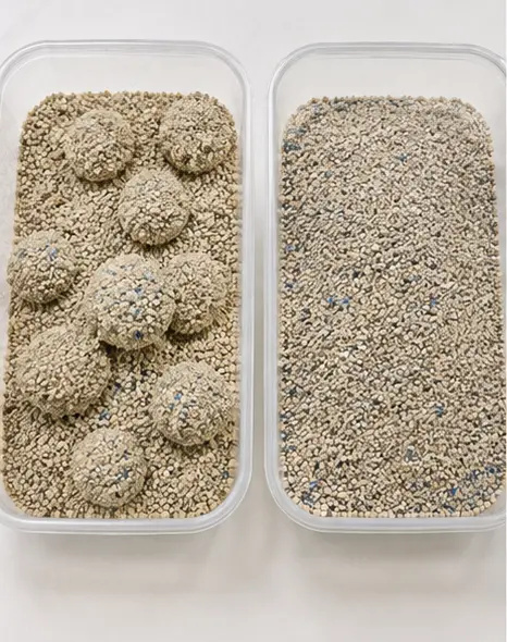 Side-by-side comparison of clumping and non-clumping cat litter